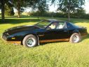 Pontiac Trans Am 1982